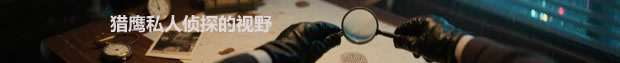 猎鹰私人侦探的视野